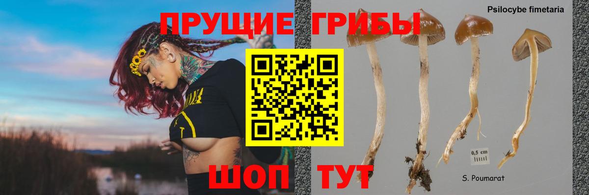 Галлюциногенные грибы мухоморы Чусовой